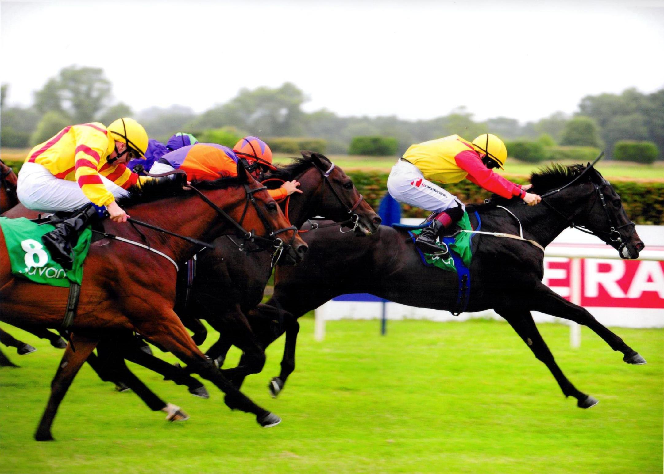 ELUSIVE HEIGHTS lands his second victory of the season at Navan 8th July 2016